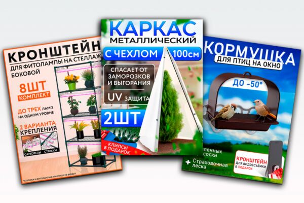 img4619549.png
