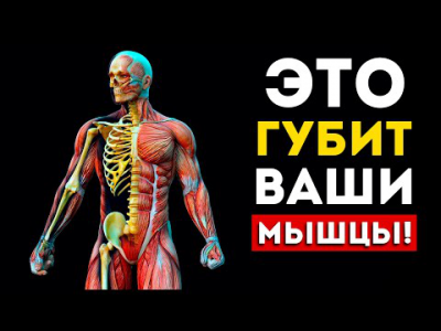 Видео для YouTube