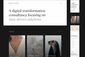 OMNYCODE E-COMMERCE AGENCY