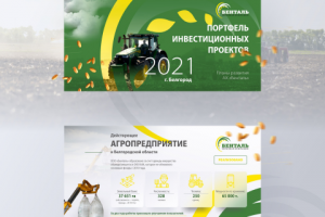Брендовая презентация