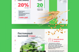 Презентация