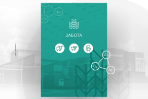 Лого, инфографика, иконки, стиль