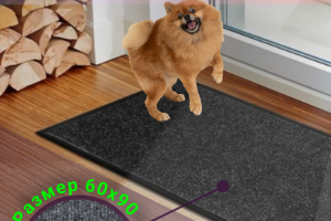 Инфографика для WB