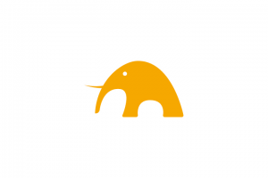 Фестиваль слона