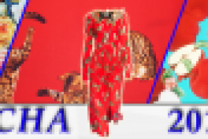 Коллаж моделей (ткани)