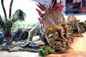 Музей природы в Улан-Удэ