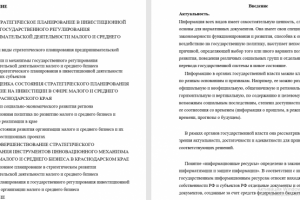 Курсовая (Социальные функции органов государственной власти)