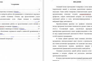 Отчет по практике