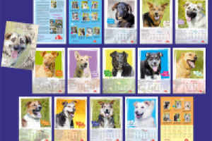 Работа 2597786