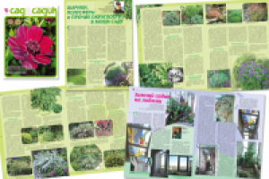 Сад и садик.