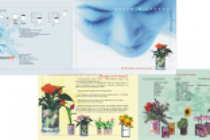 Буклет для выставки