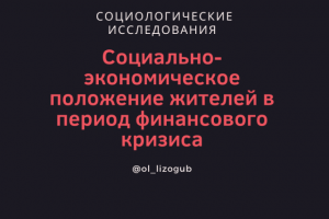 Изучение социального положения жителей в период финанс. кризиса