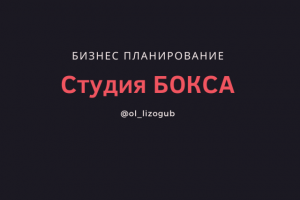 Бизнес-план студии бокса.