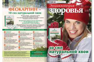 Журнал «Здоровье» март 2018 – 02 (058) 28 полос