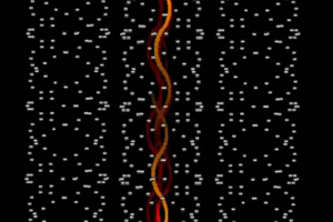 Ритм-переплетение 1 2D