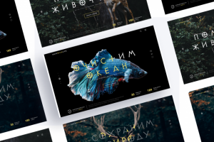 Охрана природы