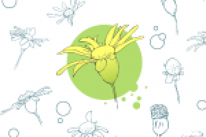 Цветы текстура