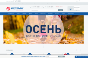 Технические работы по сайту Megasport