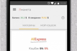 Мобильное приложение ЯМанета