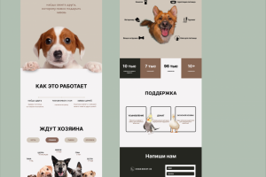 Сайт для приюта для животных