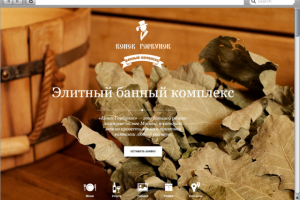 Русская баня на дровах