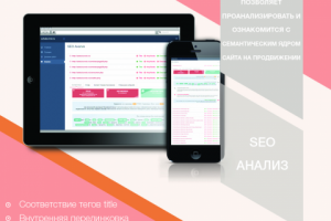 SEO АНАЛИЗ