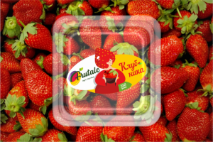 Разработка логотипа и упаковки "Frutale"