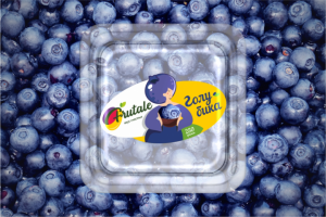 Разработка логотипа и упаковки "Frutale"