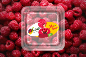 Разработка логотипа и упаковки "Frutale"