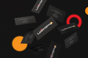 Фирменный стиль для уомпании "ШоуПро"