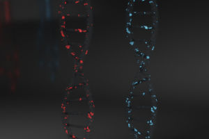DNA sync