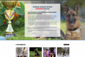 Вёрстка с посадкой на CMS