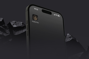 Royalty Place - Real Estate Agency | Разработка фирменного блока