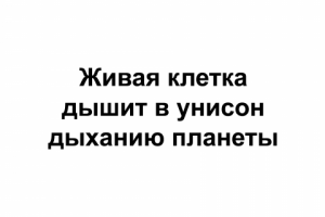 Слоган про дыхание жизни.