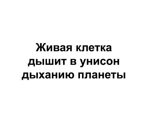img4465130.png