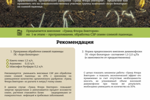 Коммерческое предложение