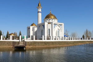 Свадебный клип