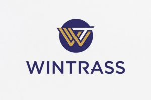 WINTRASS. Название и логотип для бренда автоаксессуаров