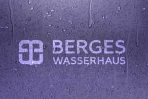 Бренд для европейского производителя сантехники