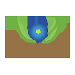 img3045077.png