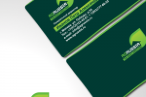 Визитная карточка