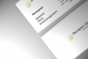 Визитная карточка