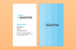 Визитная карточка