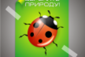 Божья коровка