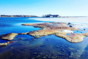 Информационная статья. Экологическая тема в Финляндии