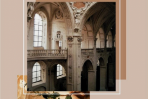 Креативные описания концентратов. Индустрия красоты и здоровья