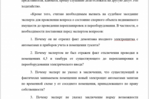 Расшифровка судебного заседания