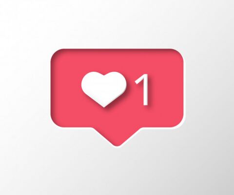 img3142369.png