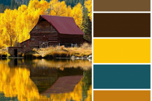 Этнографическая статья