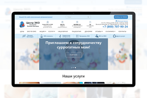 Сайт под ключ: Центр ЭКО - Великий Новгород